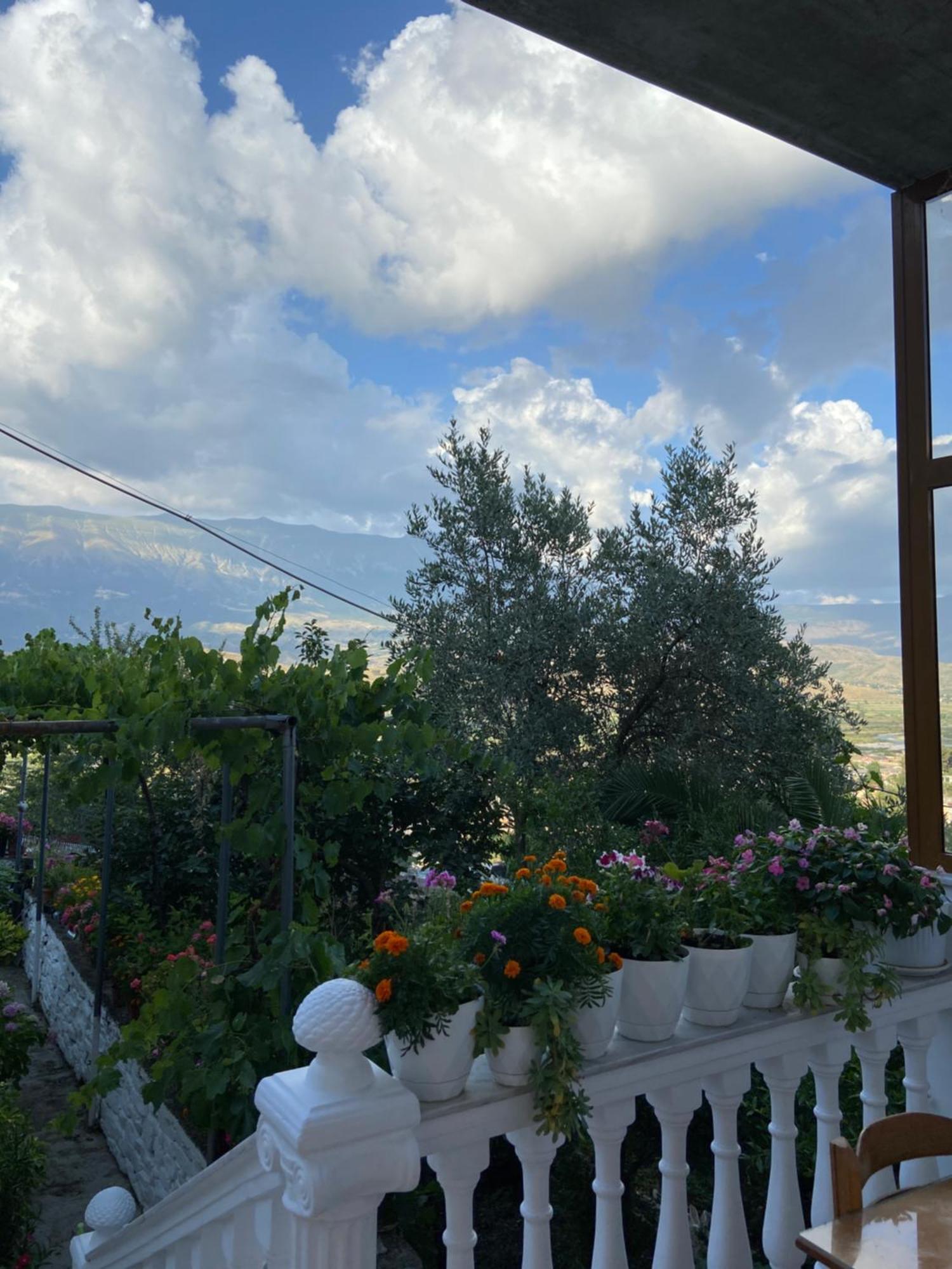 Stonetale Garden Guesthouse Gjirokastër 외부 사진